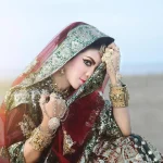 pexels-ary-shutter-264696-805367